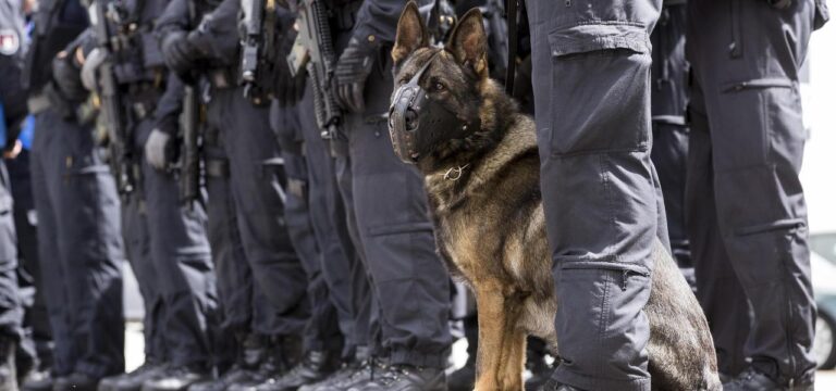 Seit einem Jahr verschwunden – Polizei sucht Leiche