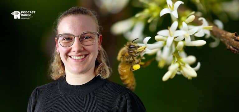 Wenn die Pollen im Frühling fliegen: Tipps aus der „Sonnen-Apotheke“ Wismar