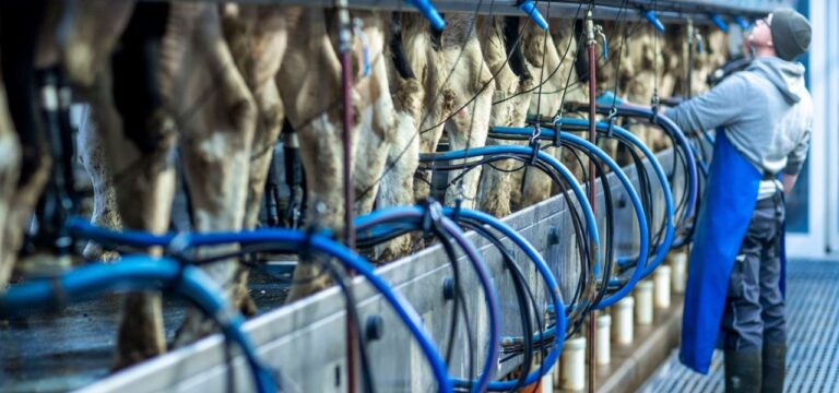 Backhaus sieht Preisentwicklung bei Agrarprodukten positiv
