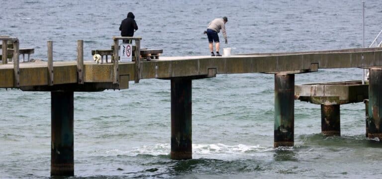 Sanierungsarbeiten an der Seebrücke Rerik laufen