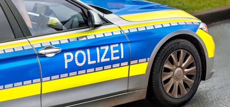 Adler und Schwan verenden bei Zusammenstößen mit Autos