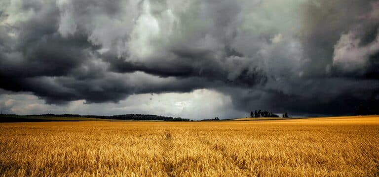 Unwettergefahr in Nordwestmecklenburg: Schwere Gewitter und Sturmböen am Freitag erwartet