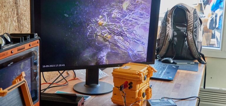 1,4 Tonnen alte Fischernetze vor Rügen aus dem Meer geholt