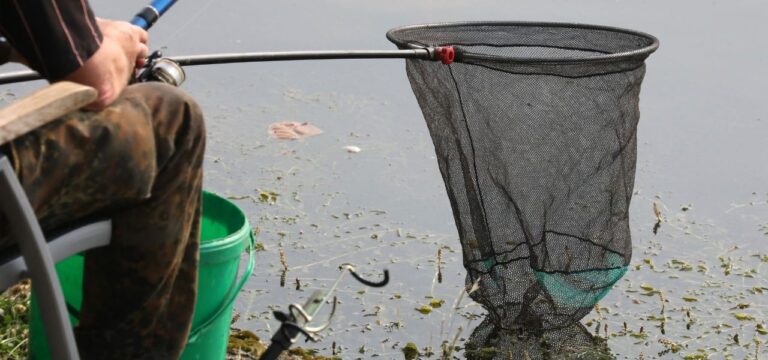Angler aus anderen Bundesländern werden zur Kasse gebeten