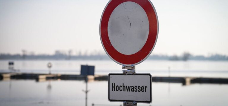 Erste Deichsanierung nach neuen Vorgaben in MV fertig