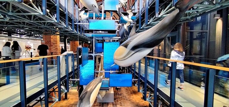 Regenwetter beschert den Museen im Norden stärkeren Zulauf