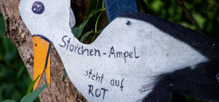 MV will trotz Geburtenrückgangs flächendeckende Geburtshilfe