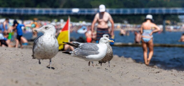 Wechselhaftes Sommerwetter in Mecklenburg-Vorpommern