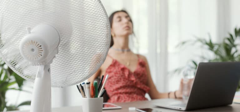 Ein heißer Sommer! – Nährstoffmangel durch zu starke Hitze