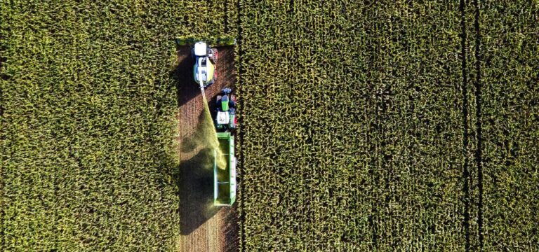 Mehrere Anschläge auf Maisernte-Geräte in wenigen Tagen