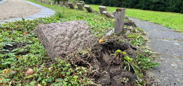 Schwerin: Gräber auf Friedhof der Opfer des Faschismus geschändet