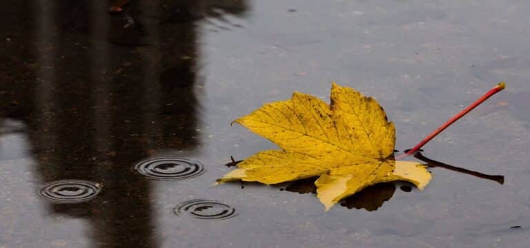 Regen, Wolken, Wind – typisches Herbstwetter im Norden