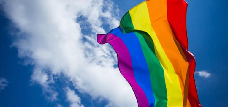 AfD will Regenbogenflagge an Dienstgebäuden verbieten