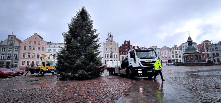 Wismar: Weihnachtsbaum auf dem Marktplatz wird heute aufgestellt