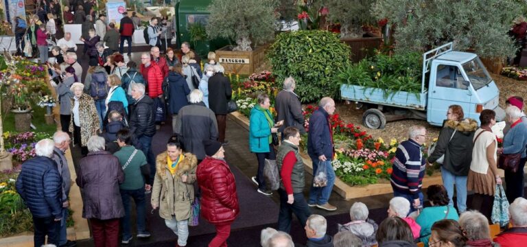 Hansemesse und Stadthalle: Über eine halbe Million Besucher