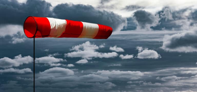 Buckelwal-Rettung vor Poel -Sturmwarnung für die Küste: Dein Tag in Nordwestmecklenburg