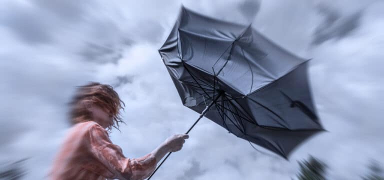 Sturmböen zum Jahresbeginn: Wetterwarnungen für Nordwestmecklenburg