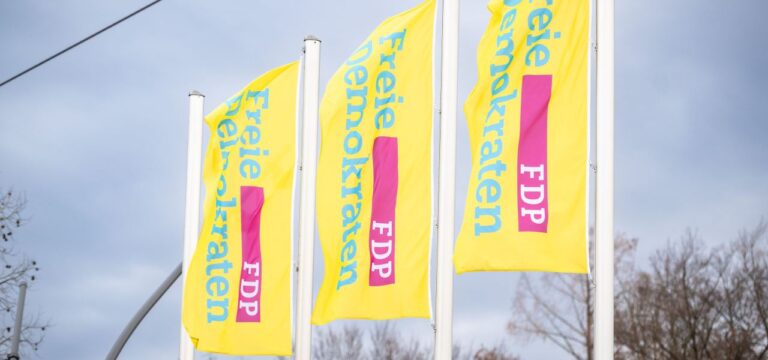Landeswahlleiter prüfen nach Beschwerden fast alle FDP-Listen