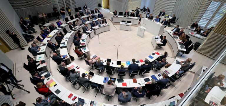 Wal-Drama erreicht Landtag von Mecklenburg-Vorpommern