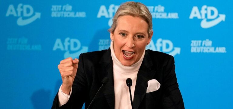 „Unrealistisch und inkompetent“: Ökonomen zerpflücken AfD-Wirtschaftsprogramm