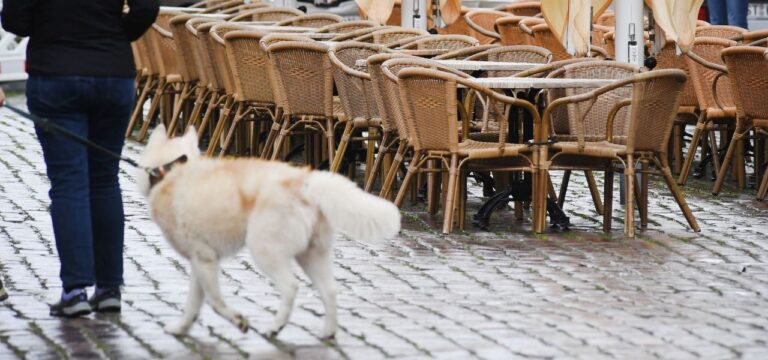 Umsatz im MV-Gastgewerbe bleibt hinter Vorjahreswert zurück