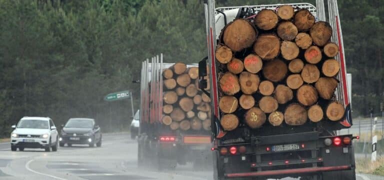 Lkw verliert Ladung – Unfall mit Baumstämmen auf A19