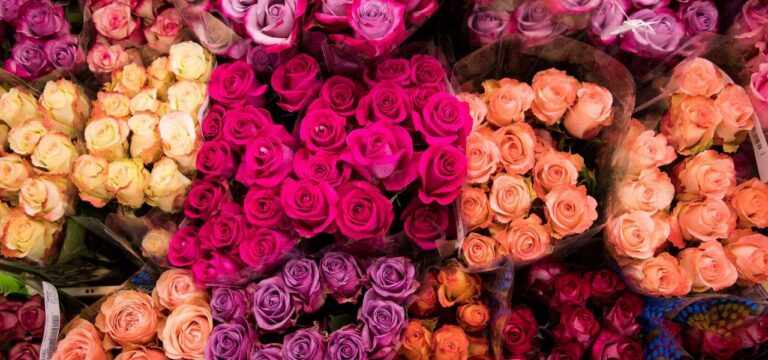 In Mecklenburg-Vorpommern 22 Millionen Euro mehr Umsatz am Valentinstag