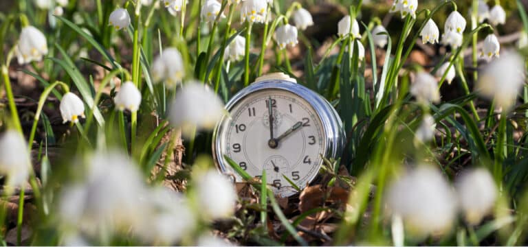 Sommerzeit gestartet: Auch in Wismar ist es abends wieder länger hell
