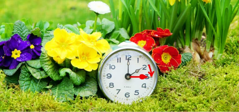 Sommerzeit beginnt am Wochenende: Uhren werden vorgestellt