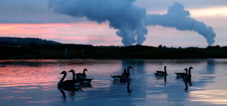 IW-Umfrage zu Gesetzesplänen: Deutsche sehen CO2-Speicherung positiv