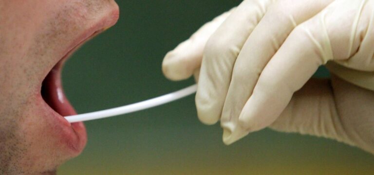 Ahnenforschung: Mit DNA-Tests Verwandte aufspüren?