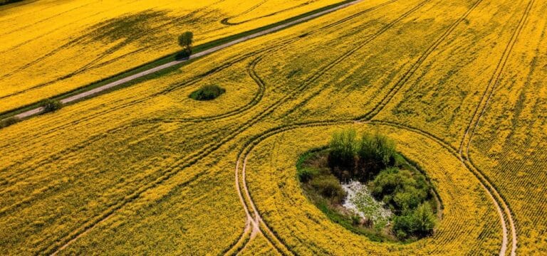 Land streicht doppelte Statistik-Abfrage für Agrarbetriebe