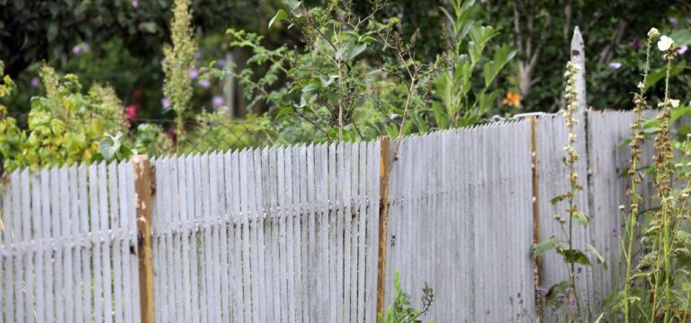 Mehr als 100 Nachbarschaftsstreits landen vor Amtsgerichten