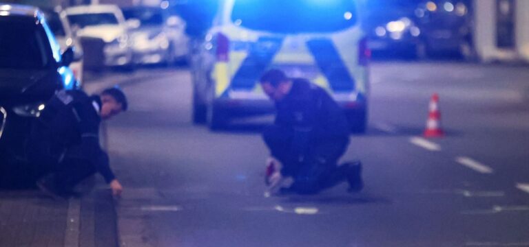 Grevesmühlen: Motorradfahrer stirbt – wohl Zusammenstoß mit Reh