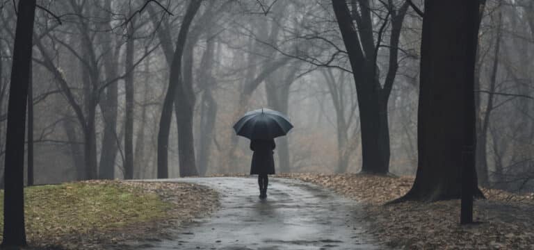 Bewölkung und milde Temperaturen zum ersten Advent im Norden