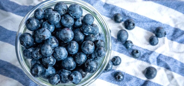 Das blaue Wunder: Die Heidelbeere ist die Karriere-Beere im Obstkorb