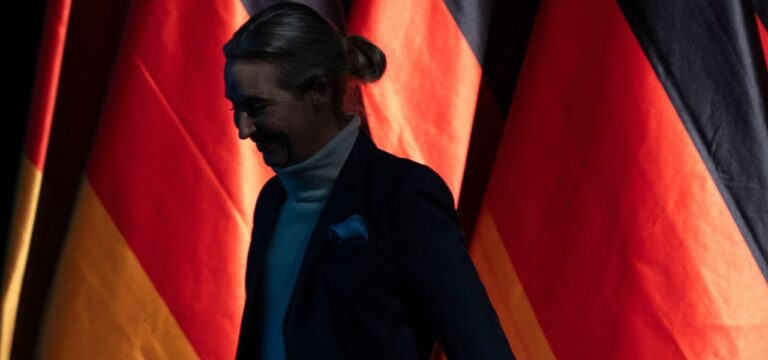 „Krieg gegen die Regierung“: Das schreibt der Verfassungsschutz in seinem AfD-Gutachten