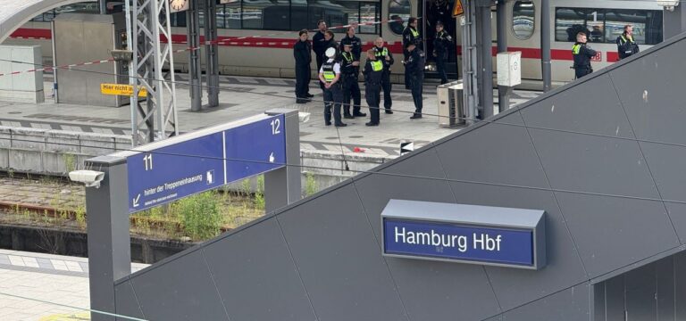 Messerangreiferin soll noch am Tag vor der Tat in Psychiatrie gewesen sein