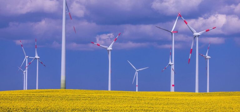 CDU begrüßt Neupositionierung des Landes bei Windkraft