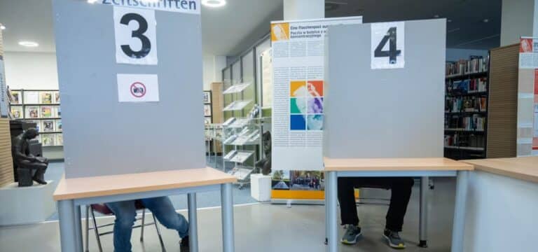 Experte: Chancen für AfD auf Landesebene geringer
