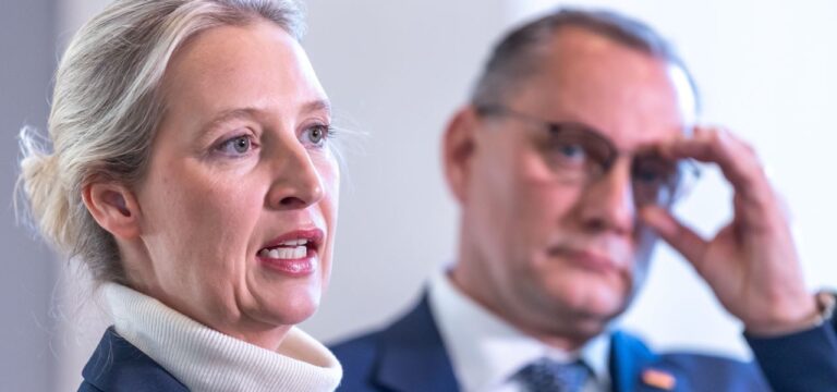 Trotz Kritik am Schwachkopf-Fall: Auch Weidel stellt Strafanträge wegen Beleidigung