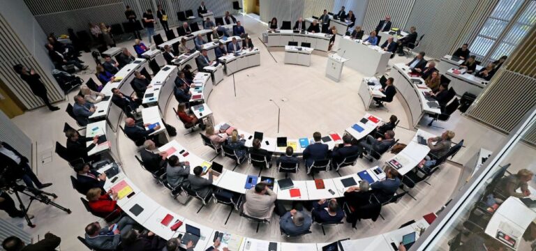 Regierungsfraktionen für Gruppenstatus der FDP im Landtag