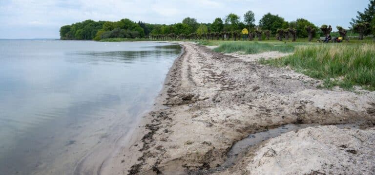 EU-Bewertung: Badegewässer in MV überwiegend ausgezeichnet