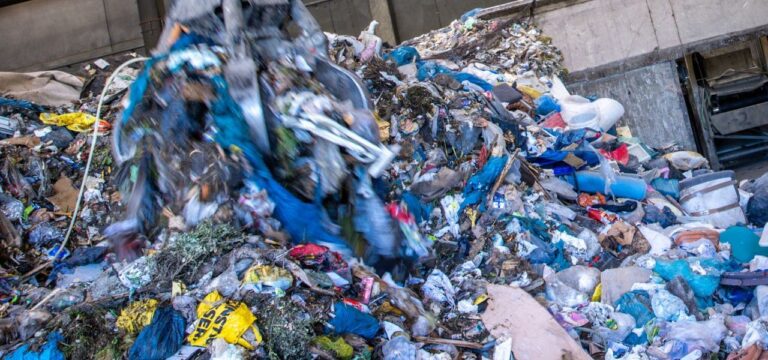 Müllmengen in Mecklenburg-Vorpommern werden wieder kleiner