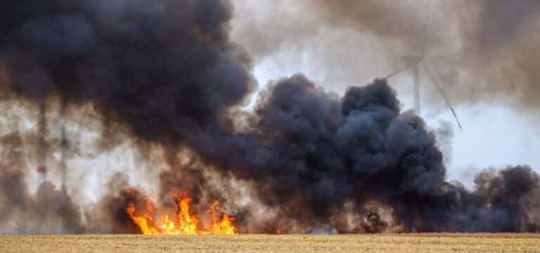Feuer auf Getreidefeld – Rund 20 Hektar betroffen