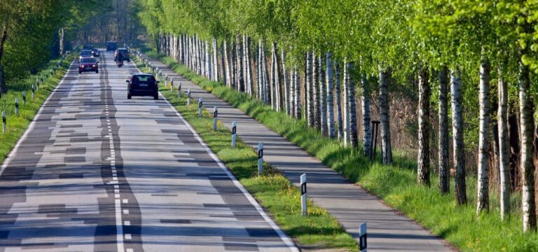 Paulsdamm über Schweriner See wegen Straßensanierung dicht