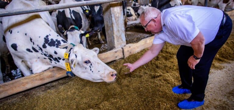 Molkereigenossenschaft honoriert Klimaschutz durch Bauern