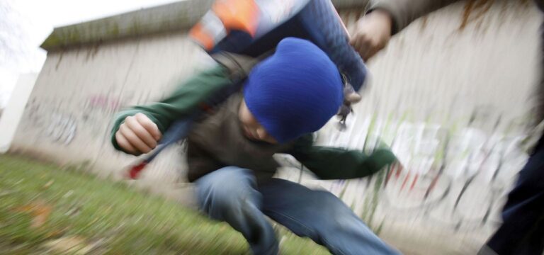 Schweriner Koalition will Gewalt an Schulen eindämmen