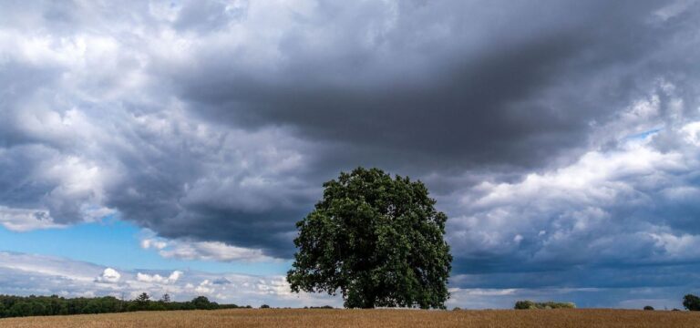 Sonne, Wolken und Regen in Mecklenburg-Vorpommern