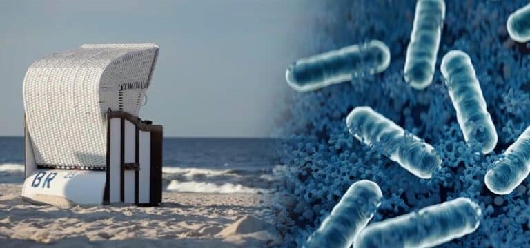 Rostock: Mann nach Vibrionen-Infektion gestorben